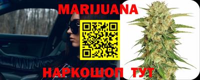 стаф Бийск
